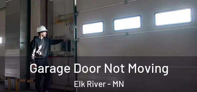  Garage Door Not Moving Elk River - MN