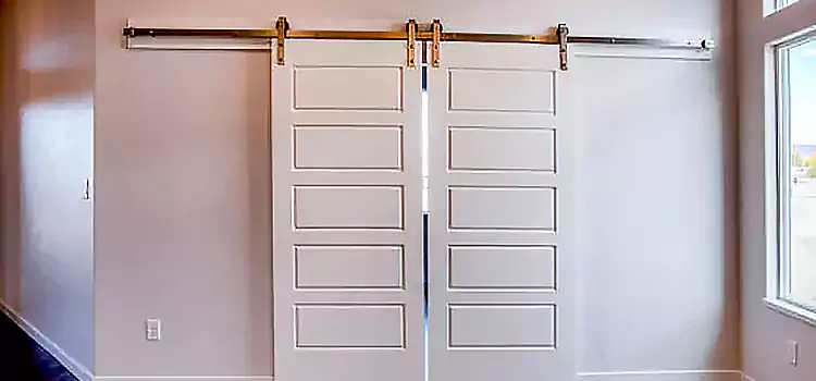 Glass Barn Door with Installation Hardware Kit Elk River