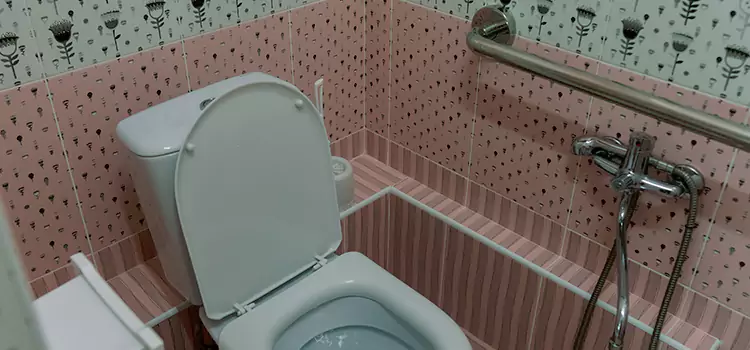 Meeting Diverse Needs With Accessible Restroom Solutions in Elk River, MN