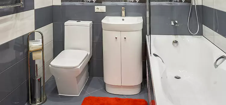 Hansgrohe Shaving Mirror Elk River